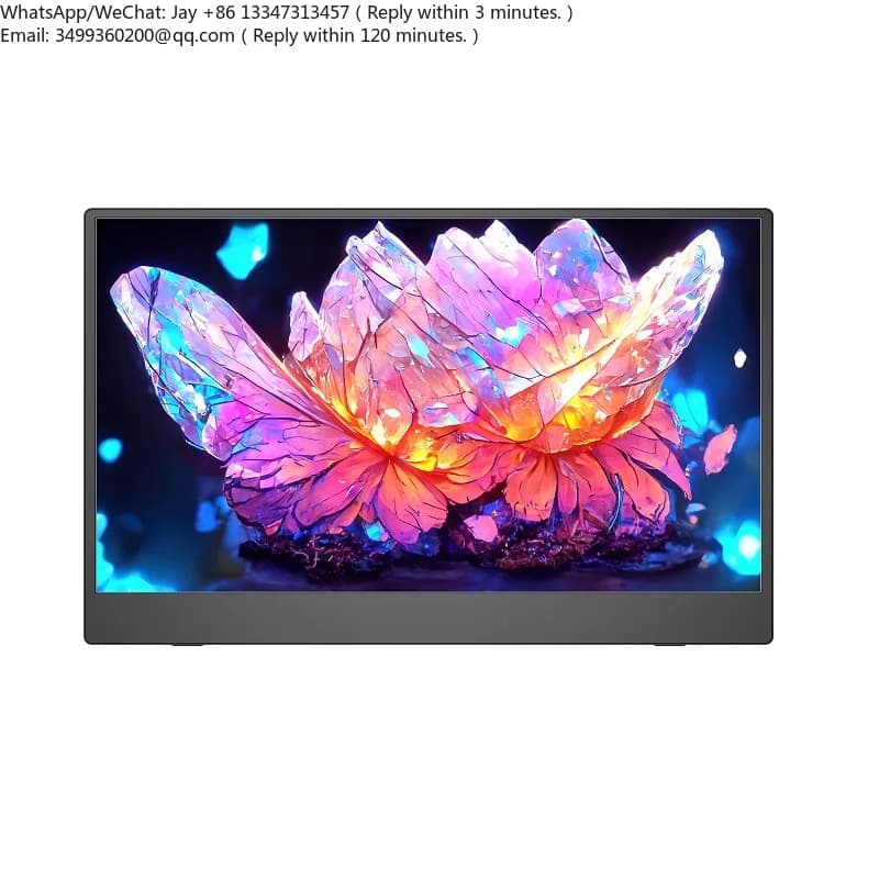 Monitor da Gioco Ultra-sottile da 13,3 Pollici del Produttore, Monitor Portatile IPS per Laptop con Supporto