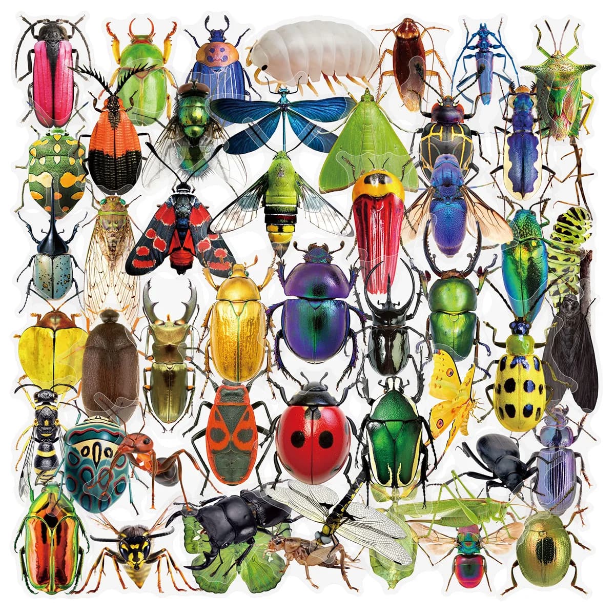 50Pcs Transparent PET Sticker Realistic Insect Cartoon Stickers DIY Scrapbook Laptop Suitcase Car Cool Graffiti Decal Pack