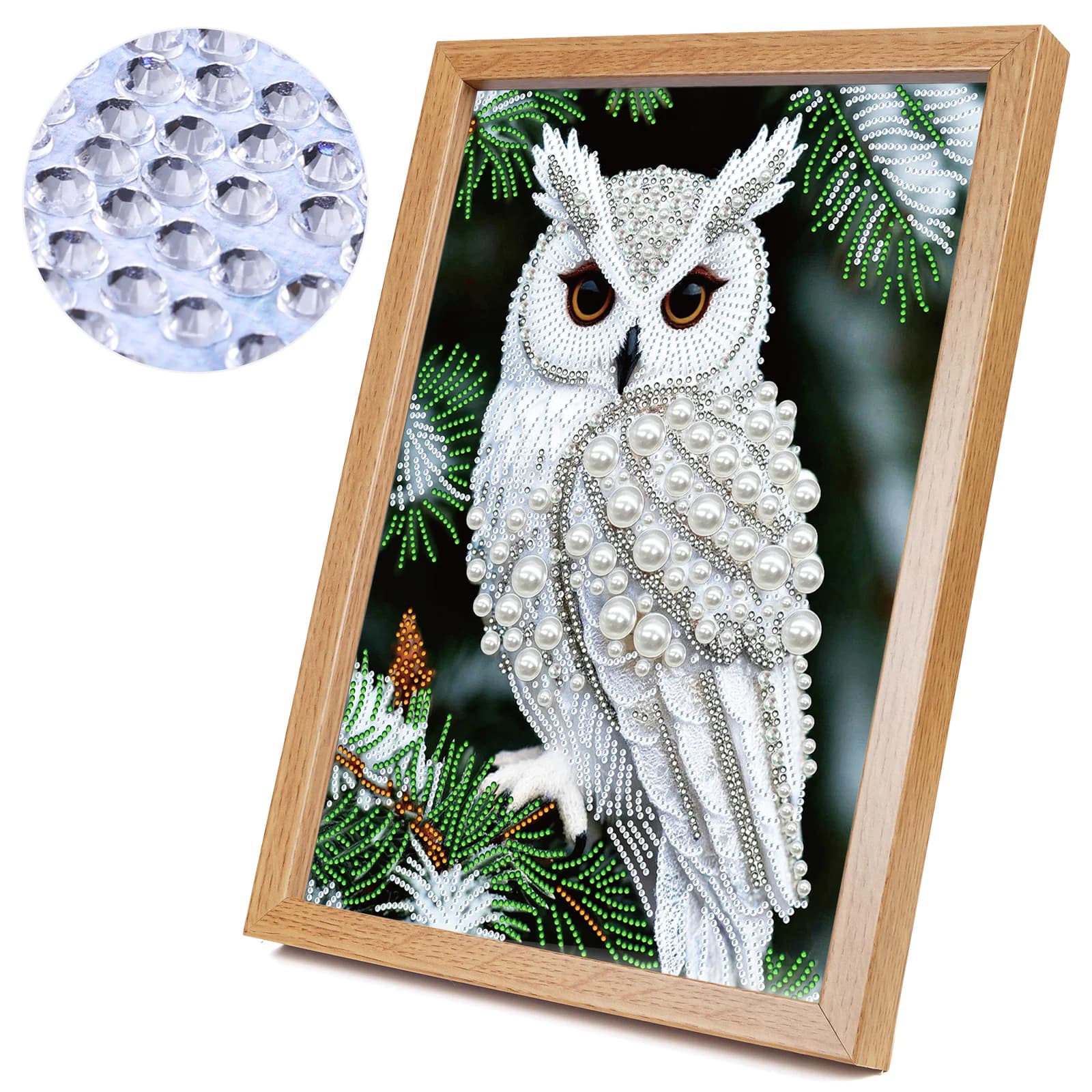 Owl Special Shaped 5D DIY Partial Drill Diamond Painting Kit Home Art 30x40cm