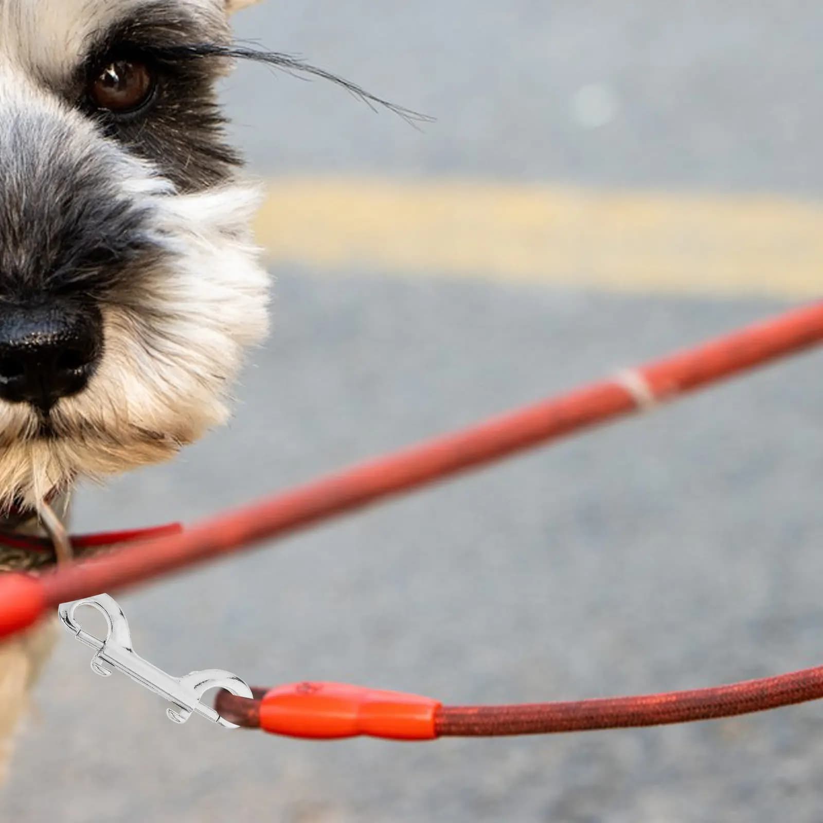 6 Pezzi Moschettoni a Doppia Testa in Acciaio Inossidabile da 89mm per Guinzaglio Cane, Girevoli per Passeggiate e Addestramento