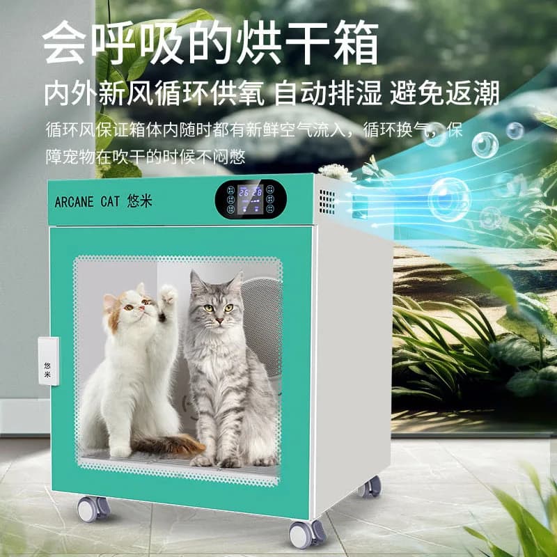 Asciugatrice Automatica per Animali Domestici, Soffiatore Professionale per Cani e Gatti, Asciugacapelli Commerciale per Toelettatura