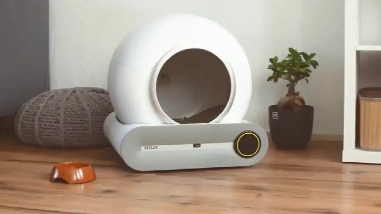 -2024 Controllo app Automatico Toilette per gatti 65L Autopulente Sandbox per gatti Lettiera intelligente chiusa con monitoraggio del peso del gatto