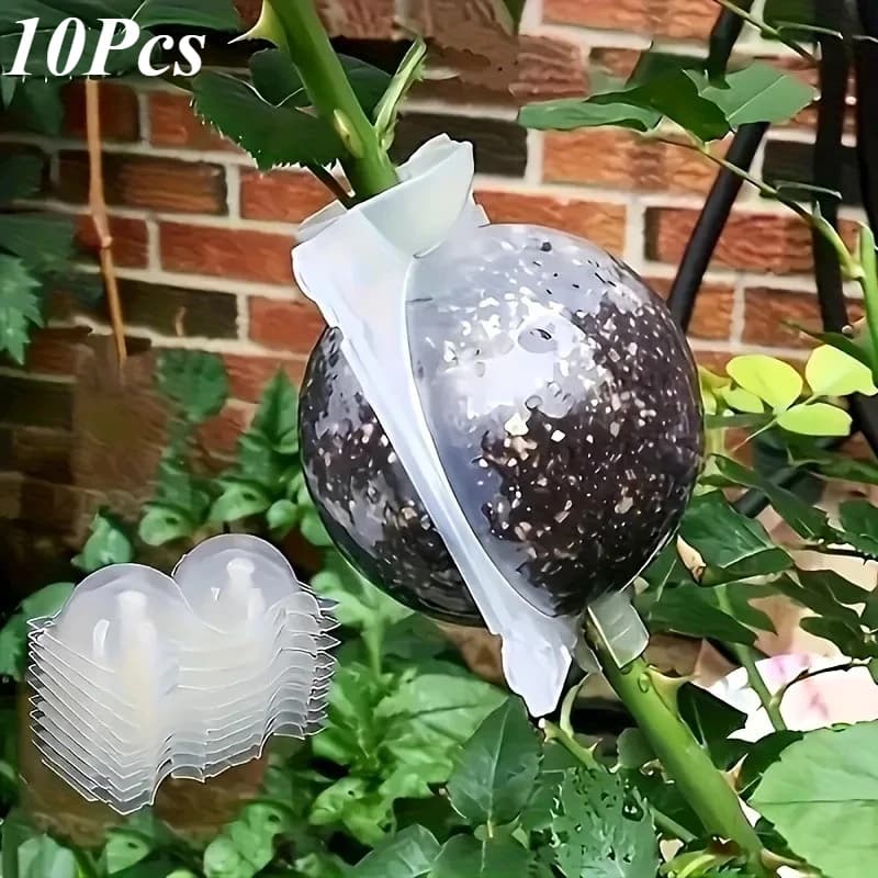 10Pcs High Pressure Plant Rooting Propagation Box Kit Branch Grafting Cutting Tool With Pressure Ball For Garden Use