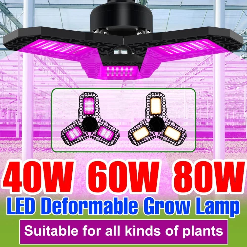 Lampadina LED per Coltivazione 80W E27, Luce a Spettro Completo per Piante da Interno, Coltivazione di Semi, Fiori, Frutta e Verdura in Serra e Tenda