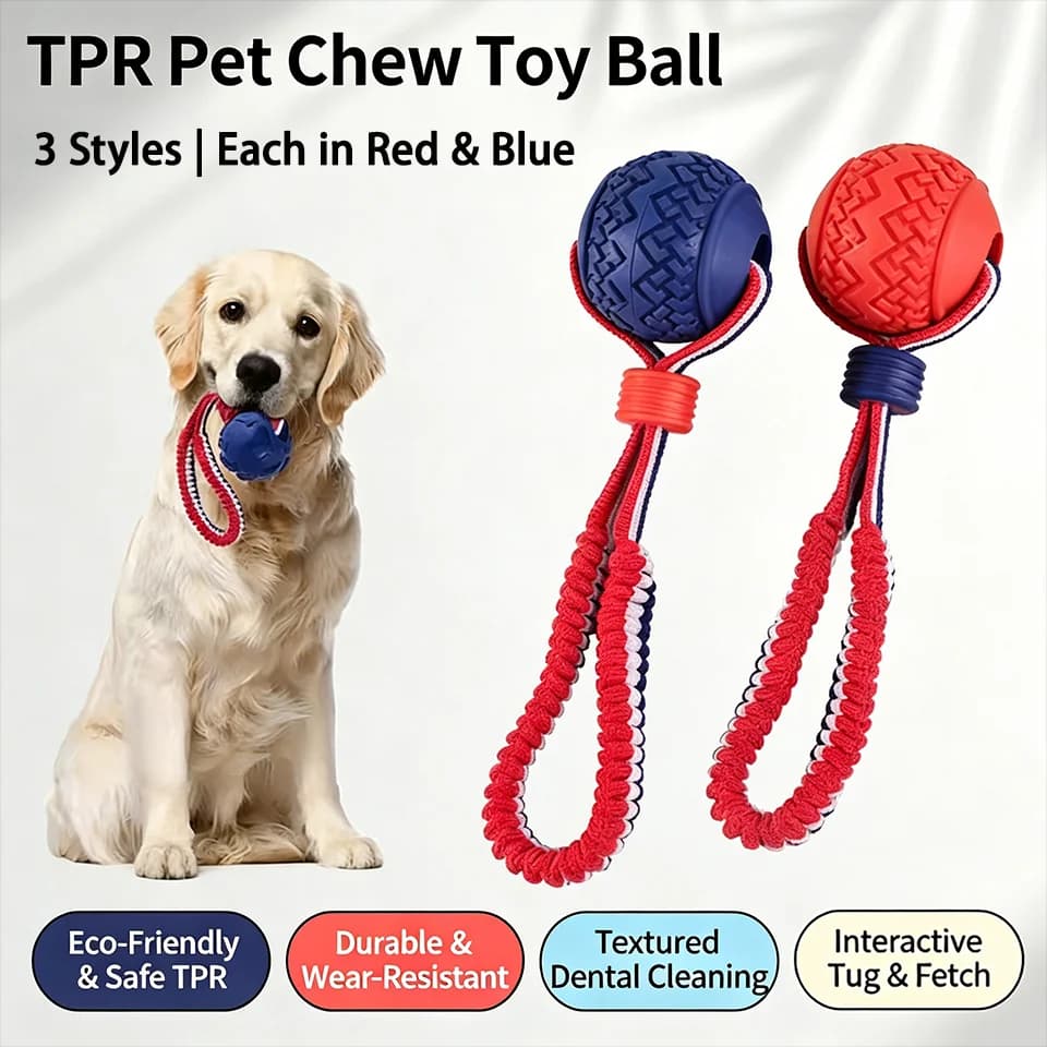 TPR Pet Chew Toy Bungee Rope Ball for Small-Medium Dogs, Teeth Cleaning Training Interactive Educational Tug-of-War & Fetch Play