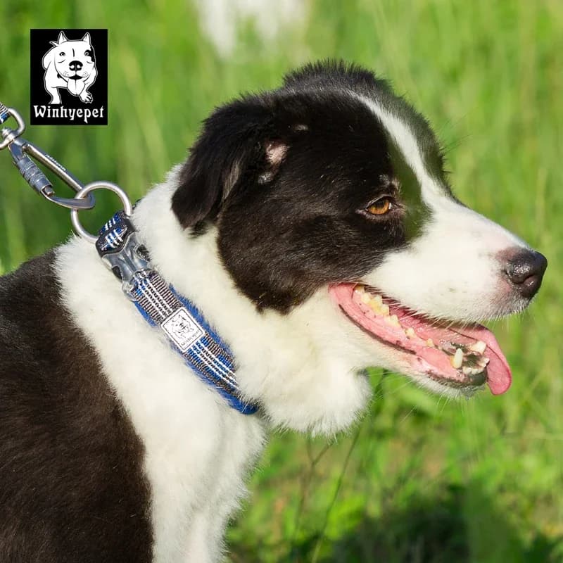 Winhyepet Collare per animali domestici Collare per cani riflettente in nylon per cani di piccola taglia media e grande sotto il collare per cani Truelove YC1854