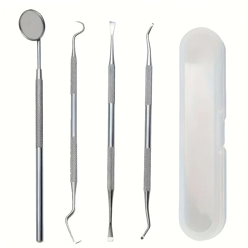 Kit professionale per l'igiene orale, raschietto in acciaio inossidabile, con scatola portaoggetti, strumenti anti-placca per la cura delle gengive, elementi essenziali dentali domestici