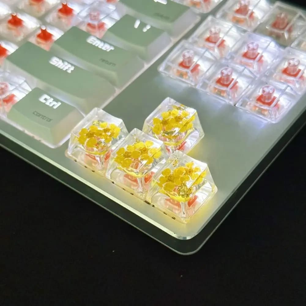 Keycap Traslucidi con Fiori Secchi, Decorazione per Tastiera Meccanica con Gypsophila, Keycap in Resina con Foglie Fai-da-Te, Compatibile Cherry MX