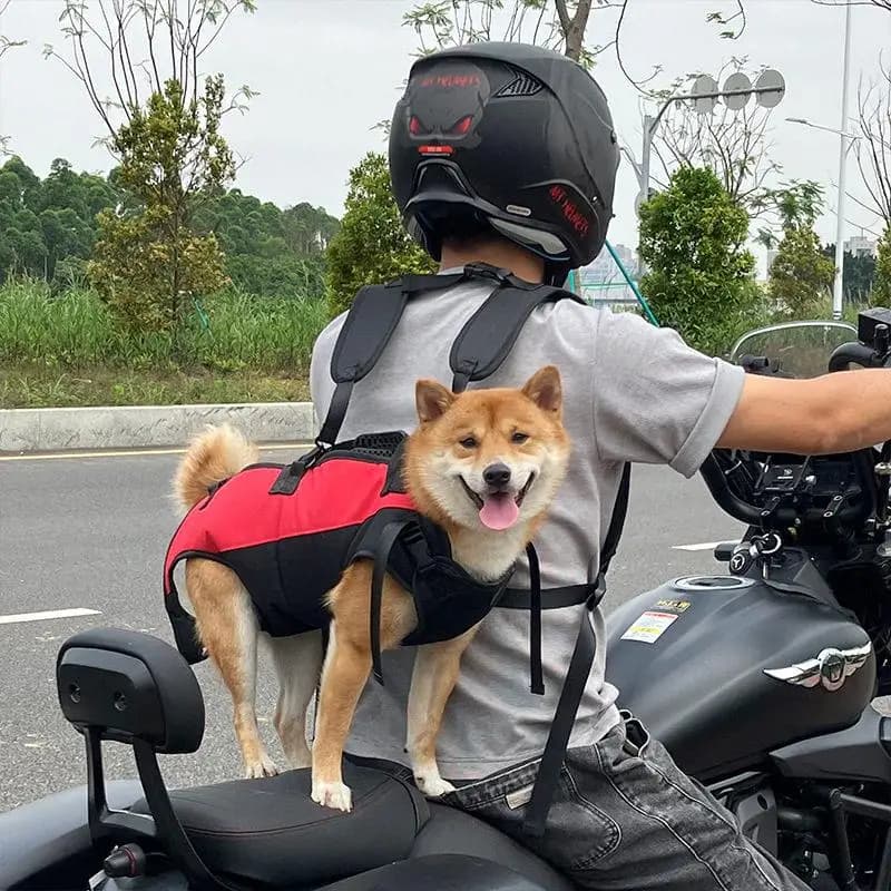 Nuovo Zaino per Cani a Doppia Tracolla, Borsa Multifunzionale per Animali Domestici, Trasportino Portatile per Cani e Cuccioli per Passeggiate e Viaggi all'Aperto
