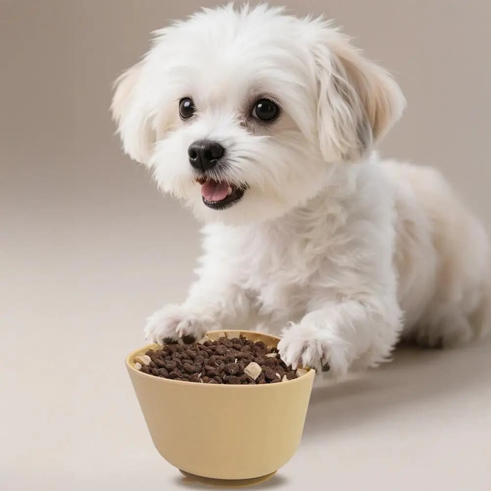 Ciotola in Silicone per Animali Domestici, Ciotola Antiscivolo per Alimenti Lenta Assorbimento, Anti-soffocamento, per Cani e Gatti