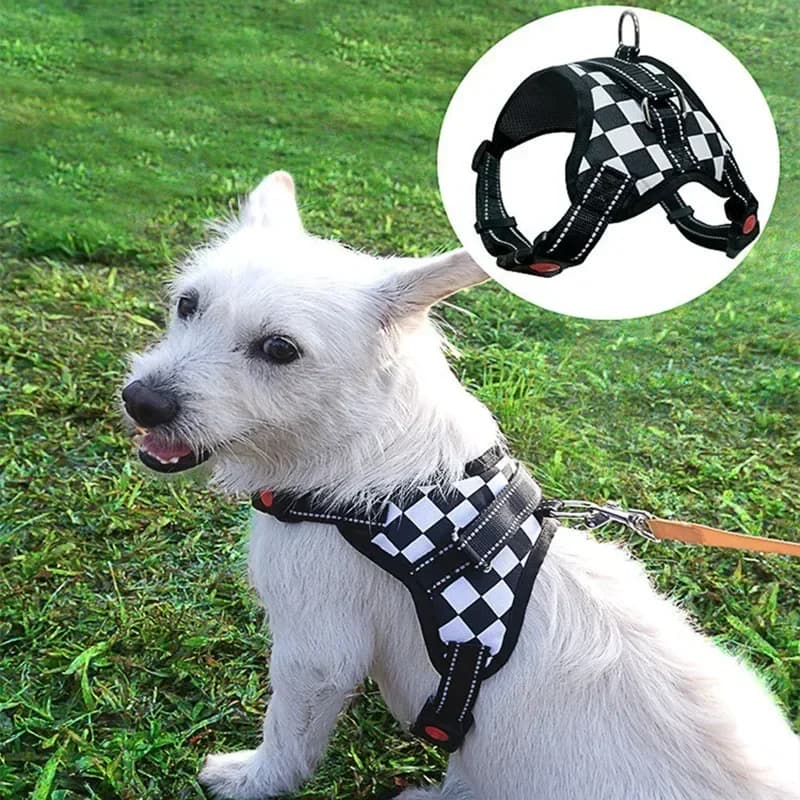 Pettorina per cani personalizzata Gilet per pettorina per animali traspirante riflettente in nylon per cani di piccola taglia Accessori per l'addestramento alla passeggiata all'aperto