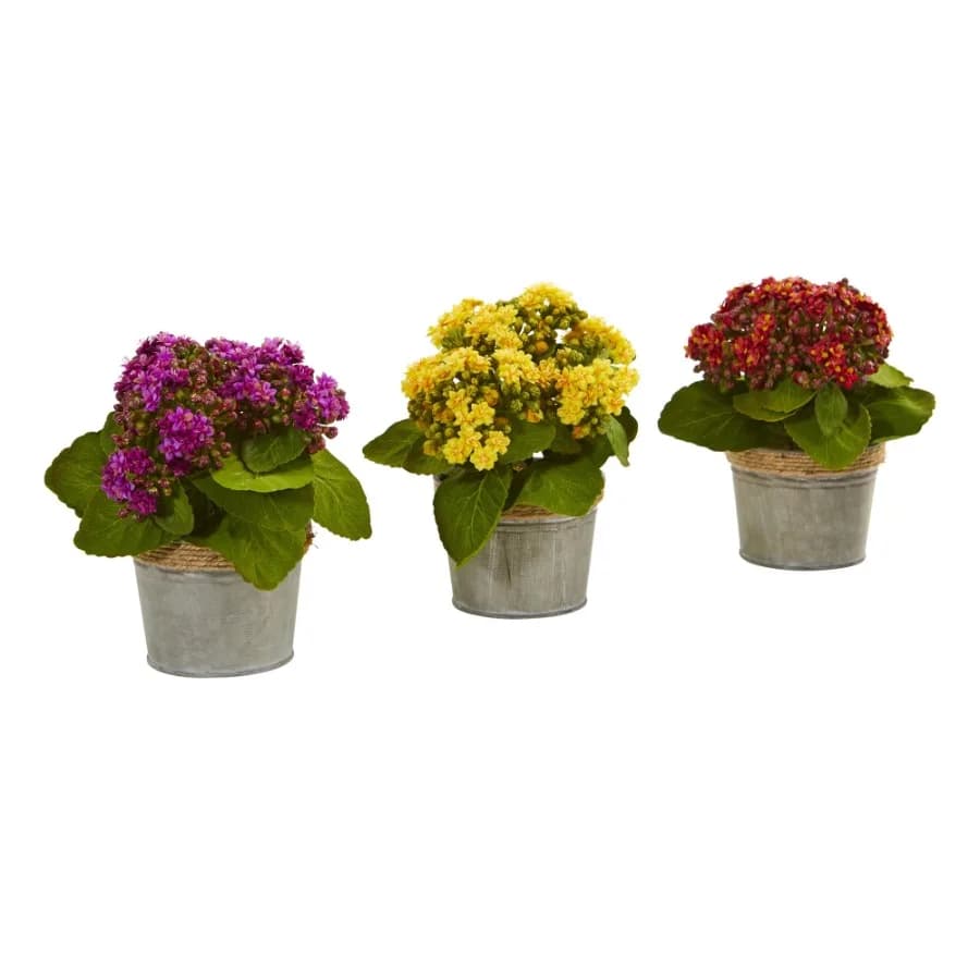 9" Plastic Kalanchoe Artificial Plant Set of 3 Multicolor