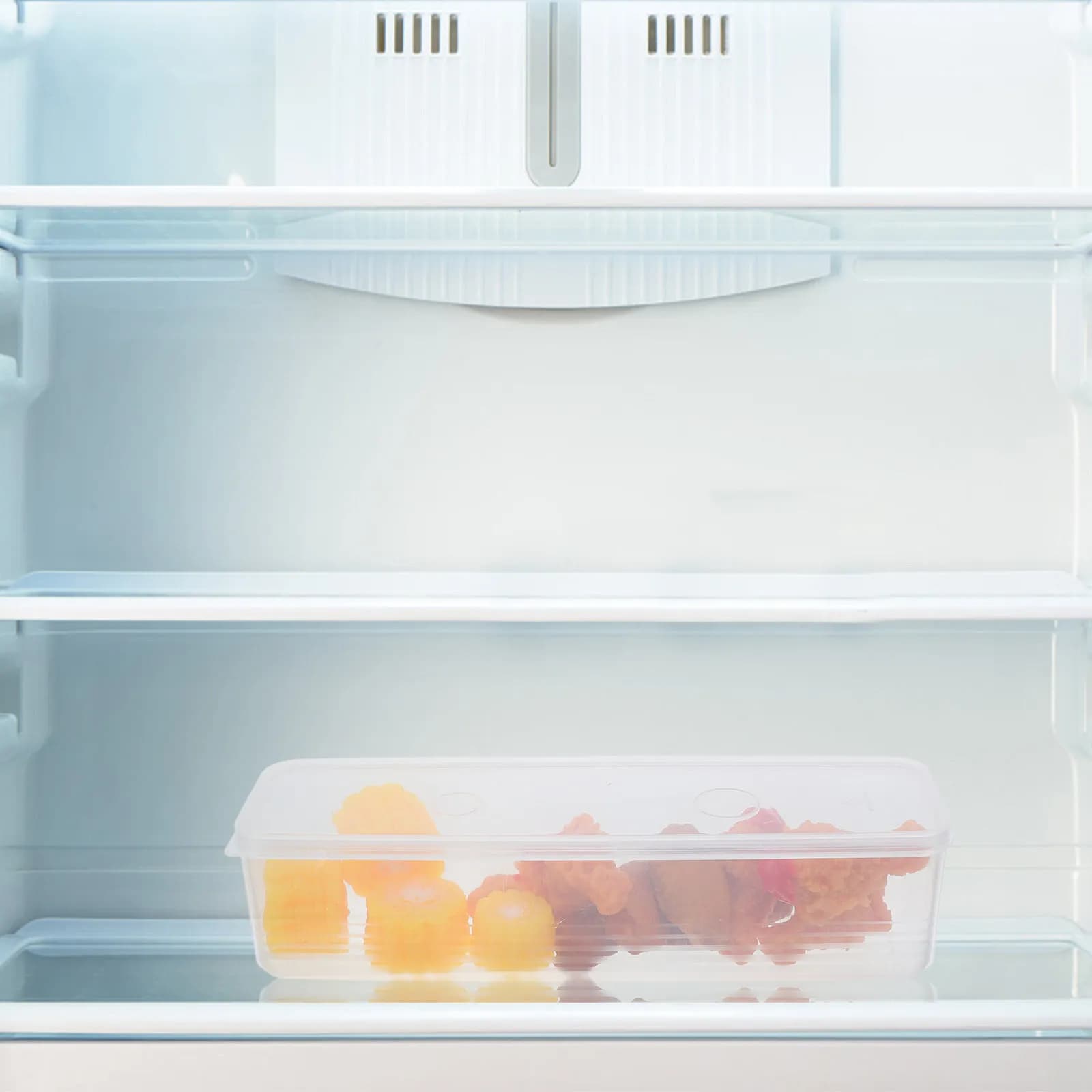 Contenitore Ermetico Salva-Freschezza Lungo e Stretto per Frigorifero, Organizer per Cipolle Verdi, Coriandolo, Porri, Pasta e Noodles, Impilabile