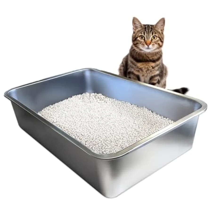 Lettiera per Gatti XL in Acciaio Inossidabile - Lettiera XL per Gatti Grandi - Grande - Non Assorbe Mai Odori, Macchie o Ruggine - Facile da Pulire