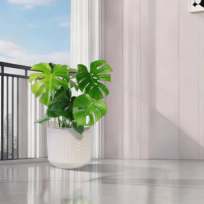Fioriera moderna in ceramica bianca per davanzale del giardino del patio - Contenitore decorativo elegante per piante da interno ed esterno