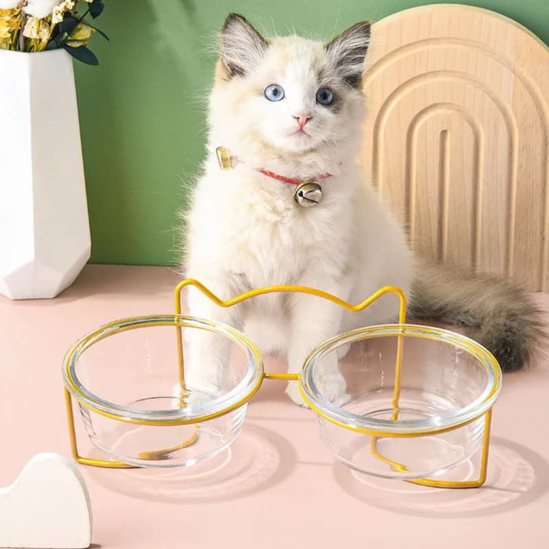 Cat Double Bowl Glas con supporto e tappetino Pet Kitten Puppy trasparente Food Feeding Dish Water Feeder forniture per cani rialzate in metallo