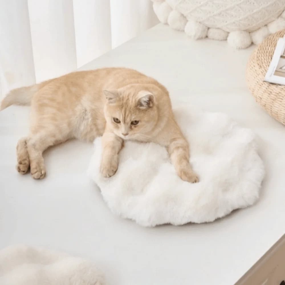 Tappetino per cuccioli, cuccia calda in peluche per gatti, tappetino antiscivolo in pile per cani, tappetino rotondo morbido per gatti, accessori per animali domestici