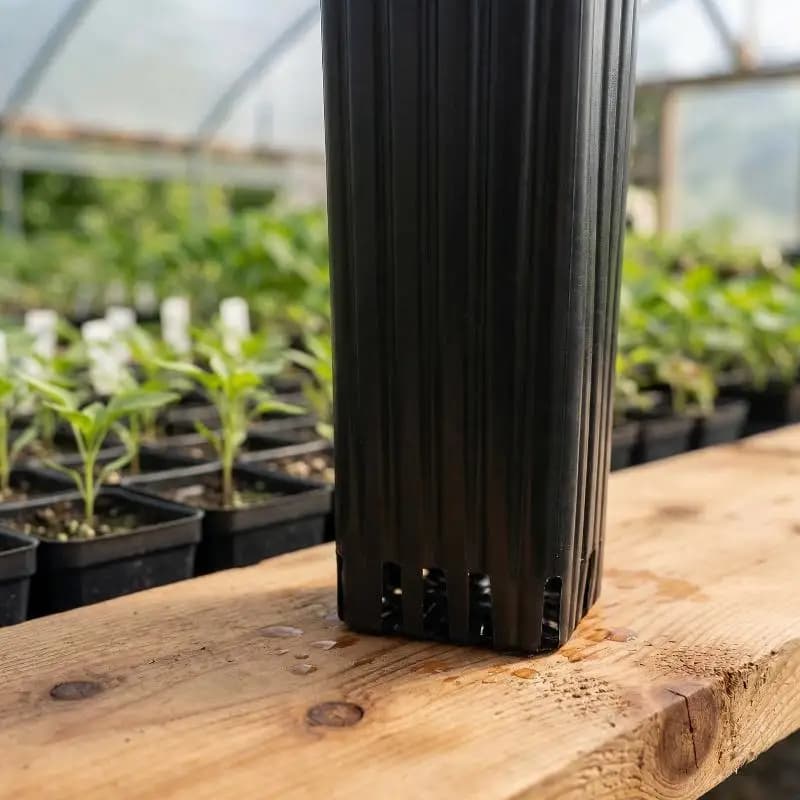 Plant Seedling Pots with Ventilation Plastic Deep Nursery Pots with Drainage Reusable Garden Planting Containers for Home Use