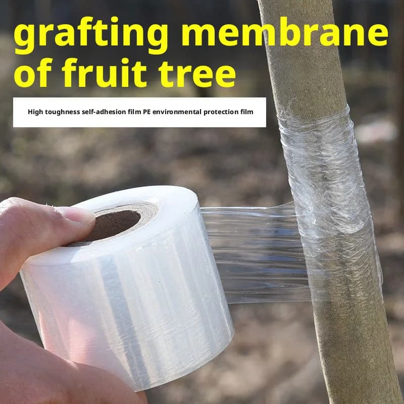 Nastro per innesto biodegradabile ecologico Membrana per innesto Cintura per legare il giardinaggio Innesto di piante Pellicola specifica Auto Muc