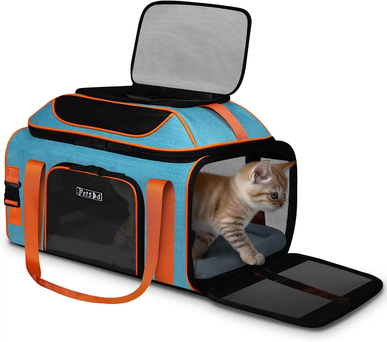 Trasportino Espandibile per Animali Domestici 19x13x9 Pollici, Approvato dalle Compagnie Aeree per Cani Piccoli Sotto i 5,5 kg e Gatti Grandi Sotto i 6,8 kg, Blu