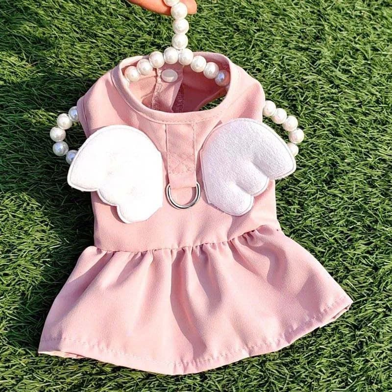 Abbigliamento per animali domestici: Vestito per cani e gatti, gonna con ali d'angelo, accessori per cani, collari e pettorine per gatti primavera estate