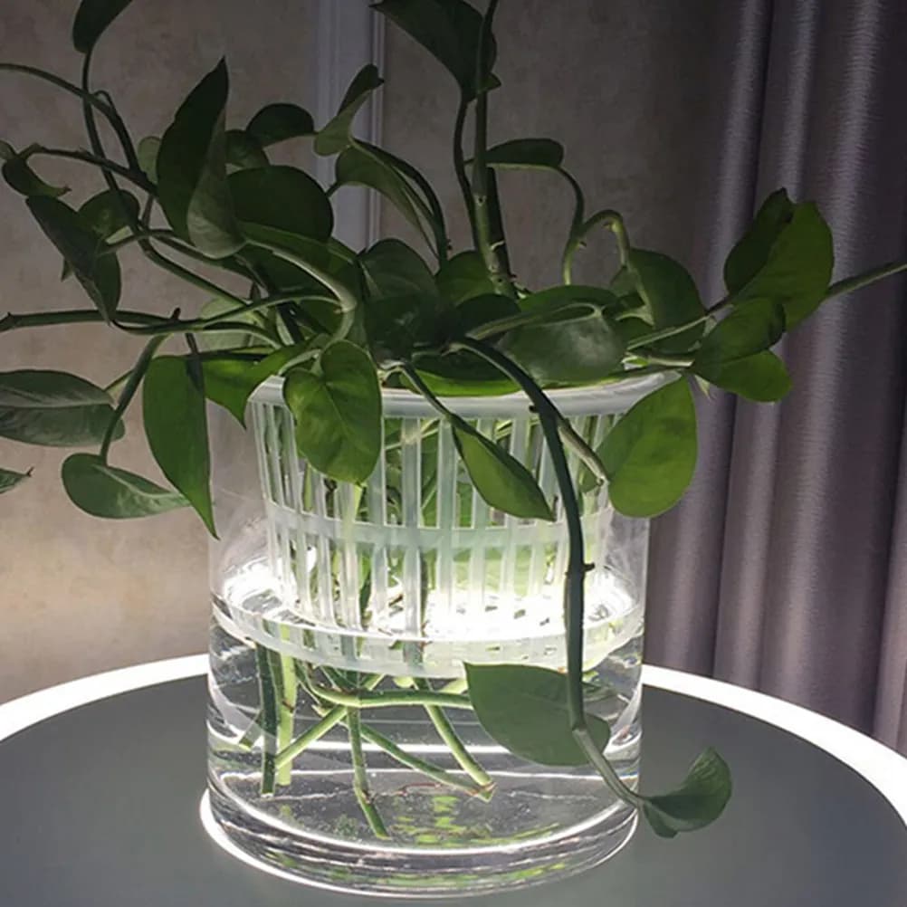 50pcs Root Anchoring Basket Hydroponic Planting Pot Garden Balcony Net Cups Plastic Nursery Pots For Vegetables Flowers Indoor