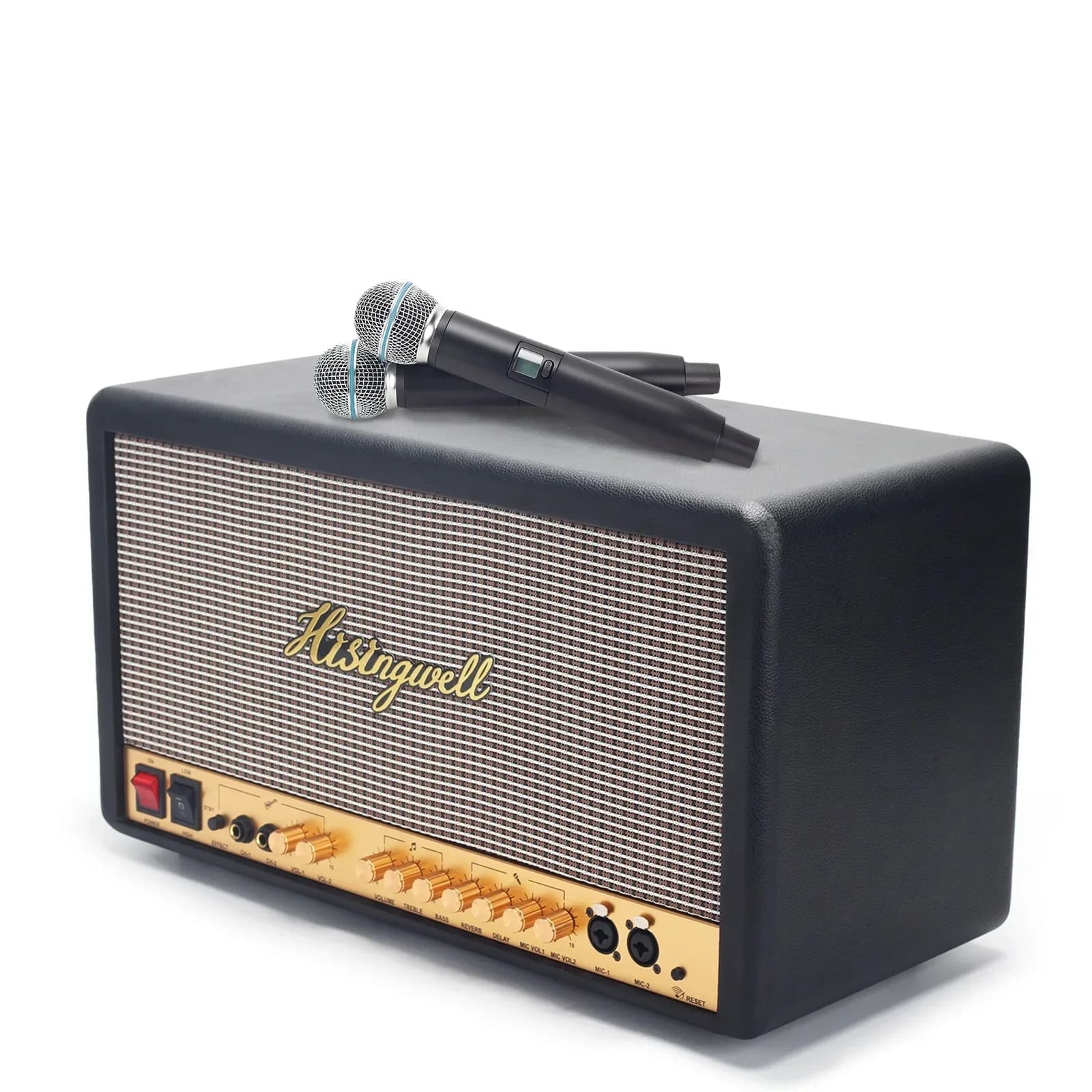 Sistema Audio Xtuga MS06, Macchina per Karaoke, Amplificatore, Altoparlante Portatile Attivo per Feste