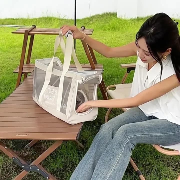 Summer Breathable Mesh Pet Carrier Backpack for Small Medium Dogs Cats Portable Hands Free for Outdoor Travel Walking