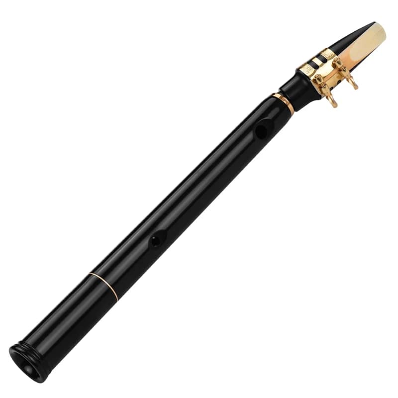 HiXing C Key Mini Pocket Saxophone Sax ABS Material with Mouthpieces 10pcs Reeds Carrying Bag Woodwind Instrument