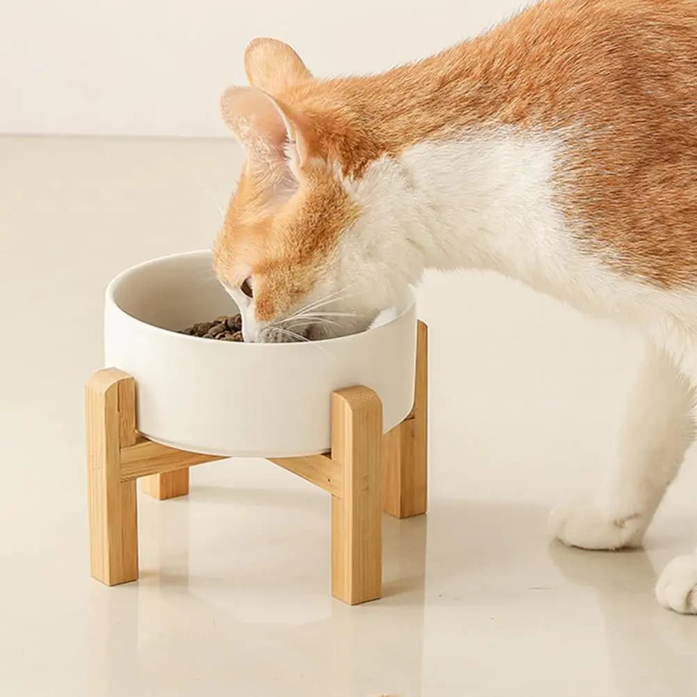 Cat-friendly Food Bowl Raised Pet Food Bowl 1800ml Elevated Ceramic Cat Bowl with Wooden Stand Raised Pet Food Water for Small