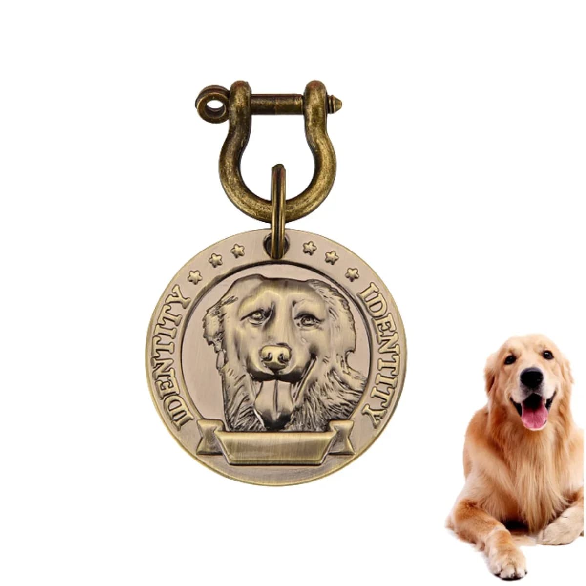 Etichetta identificativa per animali domestici incisa personalizzabile VIP per targhette in bronzo per cani e gatti Numero di indirizzo personalizzato Ciondolo identificativo per collare per cani
