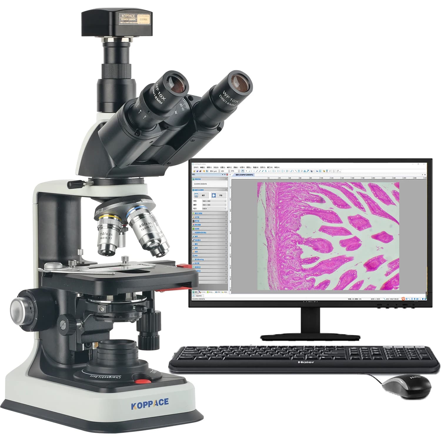 Microscopio Biologico Elettronico KOPPACE 40X-2500X con Fotocamera USB2.0 da 12 Milioni di Pixel