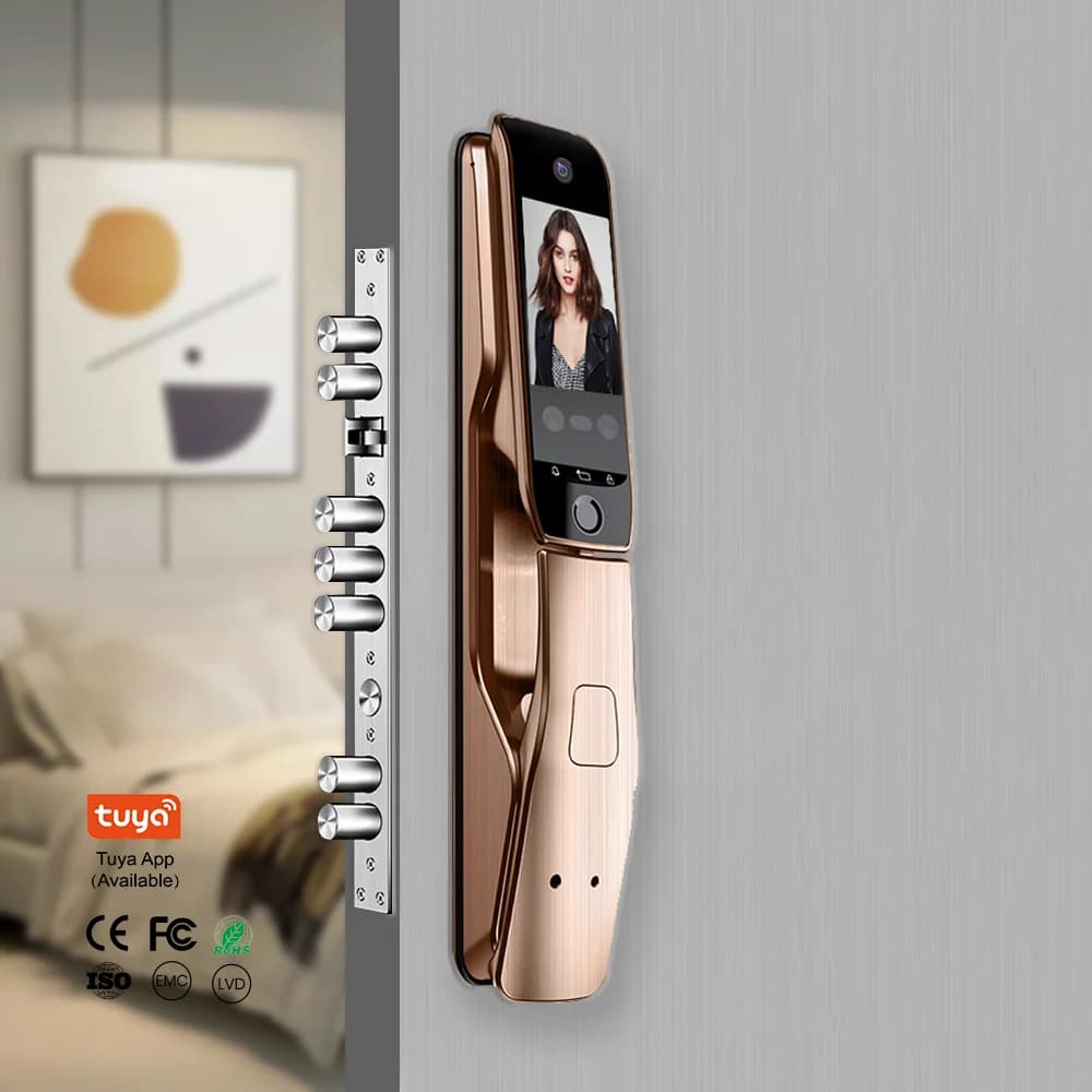 Sicurezza Cerradura Intelligente Serratura per porta digitale TTLock esterna Riconoscimento fotocamera 3D Serratura intelligente per impronte digitali Wifi