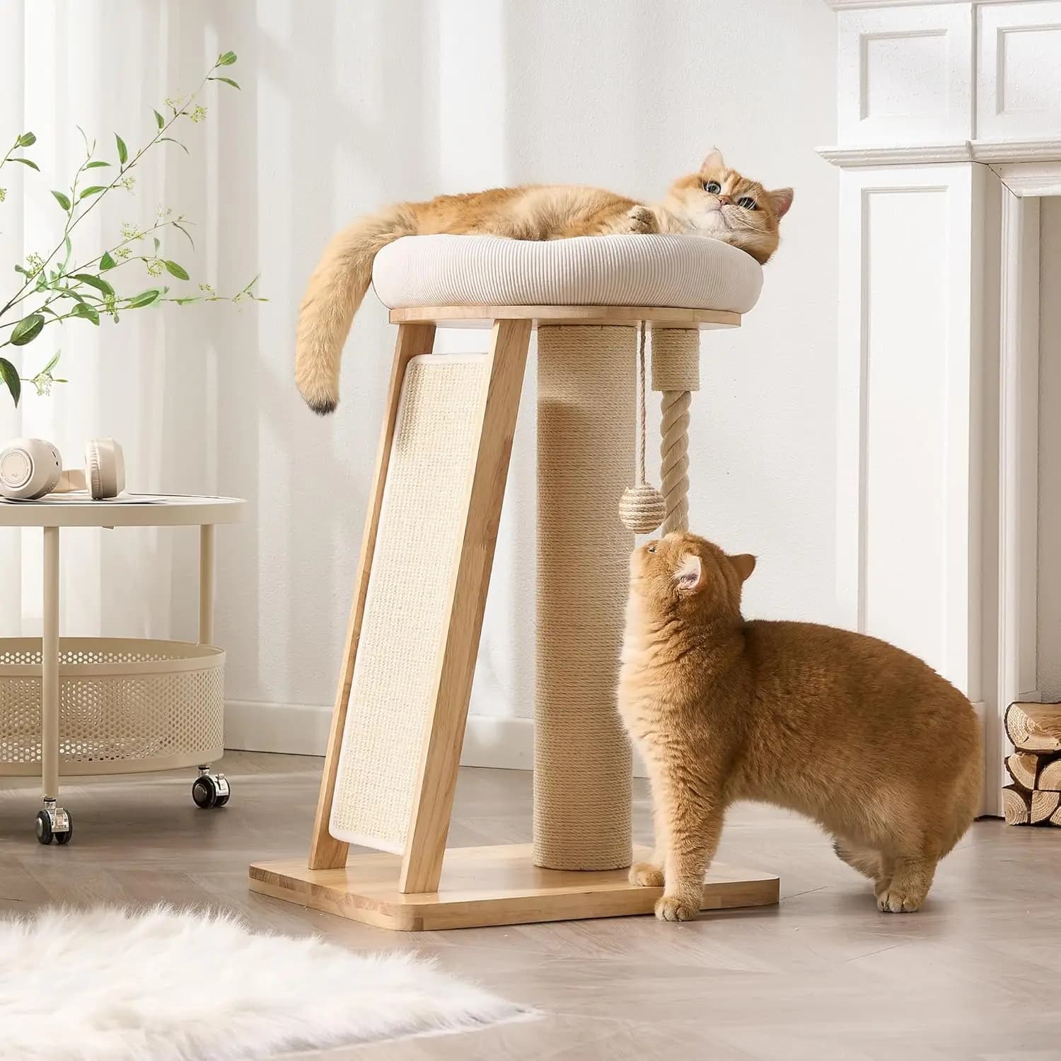 Albero per Gatti in Legno Massello con Tiragraffi, Cuccia, Palla Sospesa e Corda - Arredamento Moderno per Gatti da Interno