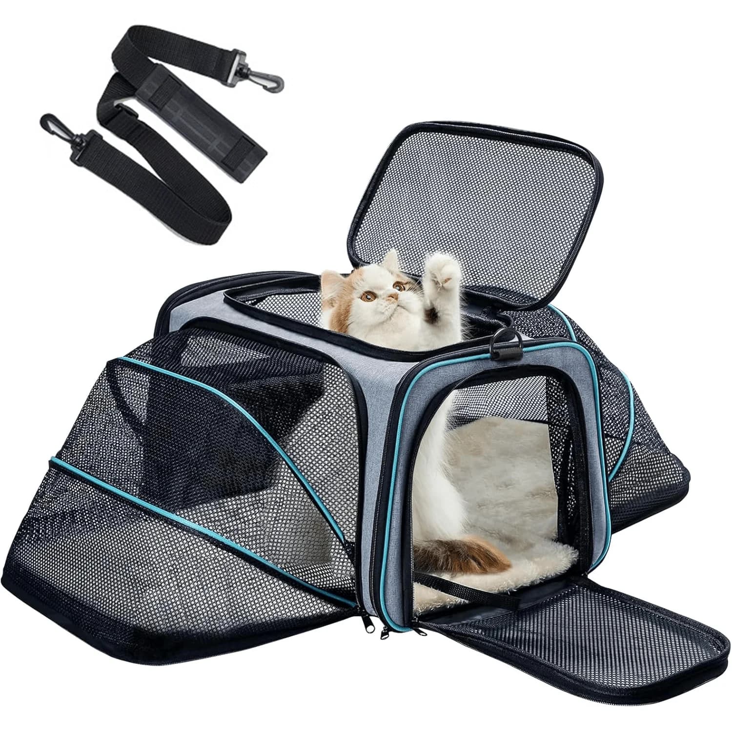 Trasportino per animali domestici approvato dalle compagnie aeree, trasportino per gatti, trasportino per cani con imbottitura in pile rimovibile, guinzaglio di sicurezza e tracolla, espandibile su 4 lati