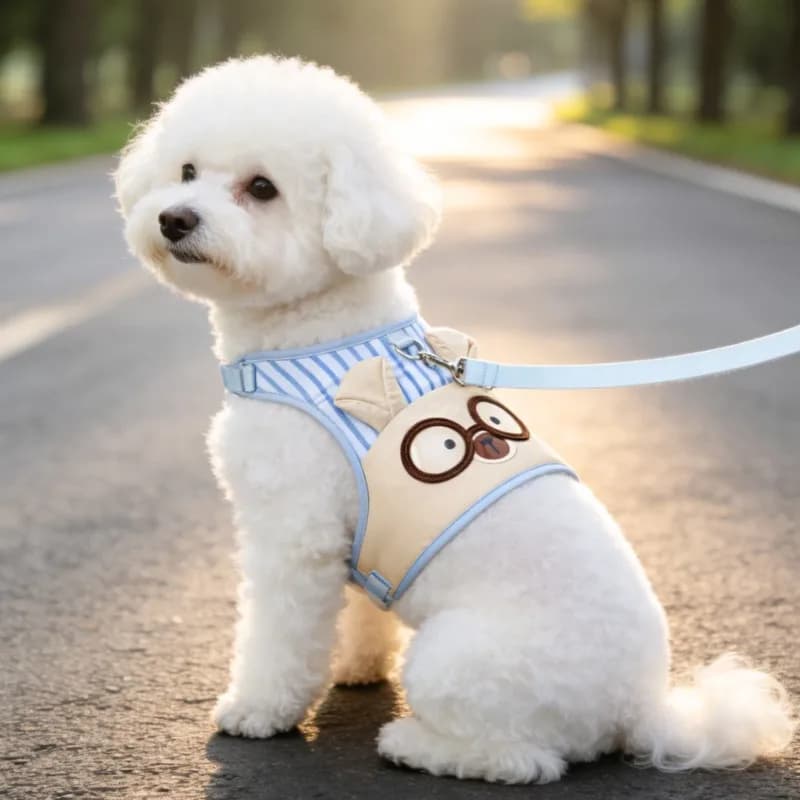 Cartoon Bear Striped Dog Vest Harness Leash 360° Pressure Dispersion Breathable Sandwich Mesh Puppy Harness Walking Harness