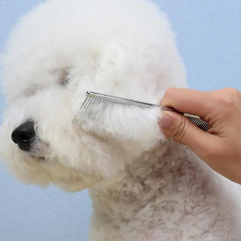 Pettine per le pulci Spazzola professionale per toelettatura di gatti Forniture per animali domestici per cuccioli Spazzolatura quotidiana Routine Pelle sensibile Smettere di strappo Cura delle macchie