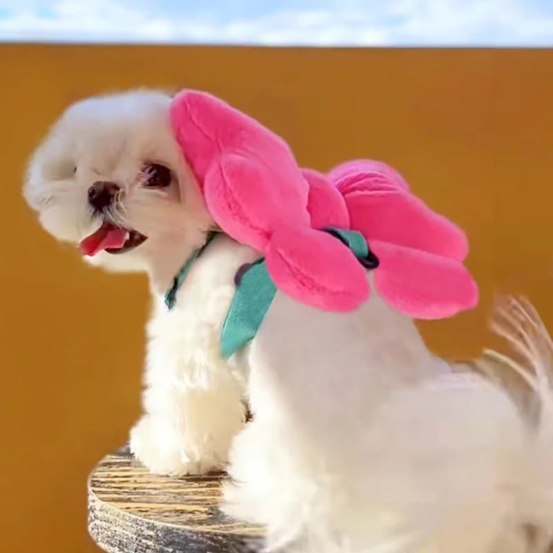Corda per trazione con fiocco per animali domestici, corda per cani da passeggio, per cani e gatti, per uscire, con fiocco carino, zaino, accessori per cani