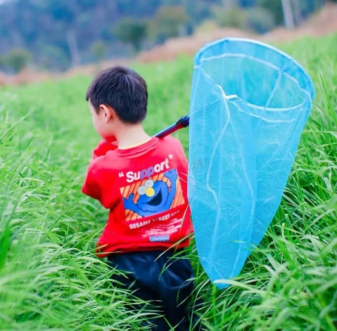 Rete per farfalle, rete da pesca telescopica, rete da pesca piccola per gamberetti, rete per catturare insetti per bambini in acciaio inossidabile