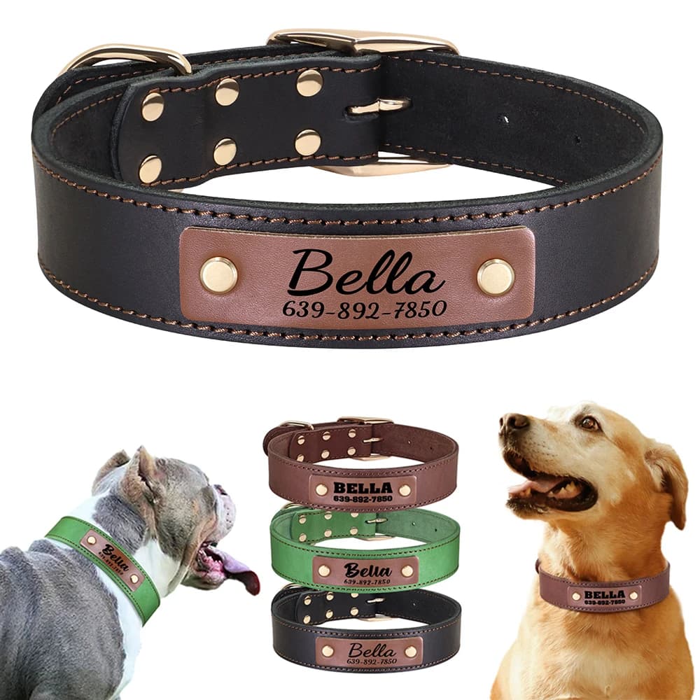 Collare per cani in pelle personalizzato Collari per cani personalizzati Collana per animali in vera pelle per cani di taglia media Stampa gratuita Nome dell'animale domestico Telefono