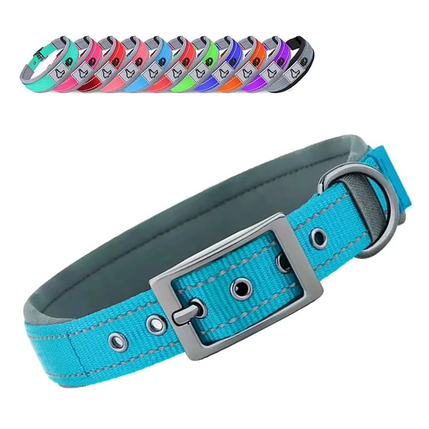 Nuovi collari per cani in nylon per cani di taglia piccola, media e grande, collare solido con anelli per Teddy, Keji, Pitbull, Bulldog, Beagle