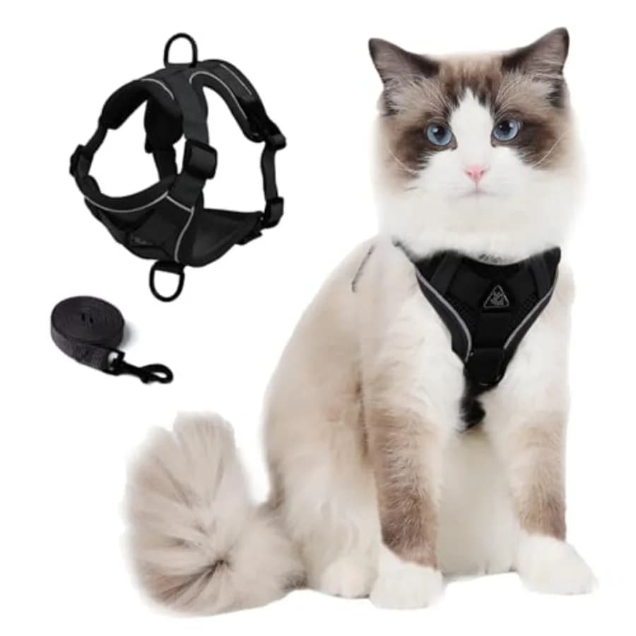 Set Pettorina e Guinzaglio per Gatti: Gilet Antifuga Migliorato con Guinzaglio per Gatti Grandi, Cani Piccoli e Cuccioli, Giacca Morbida Riflettente per Passeggiate