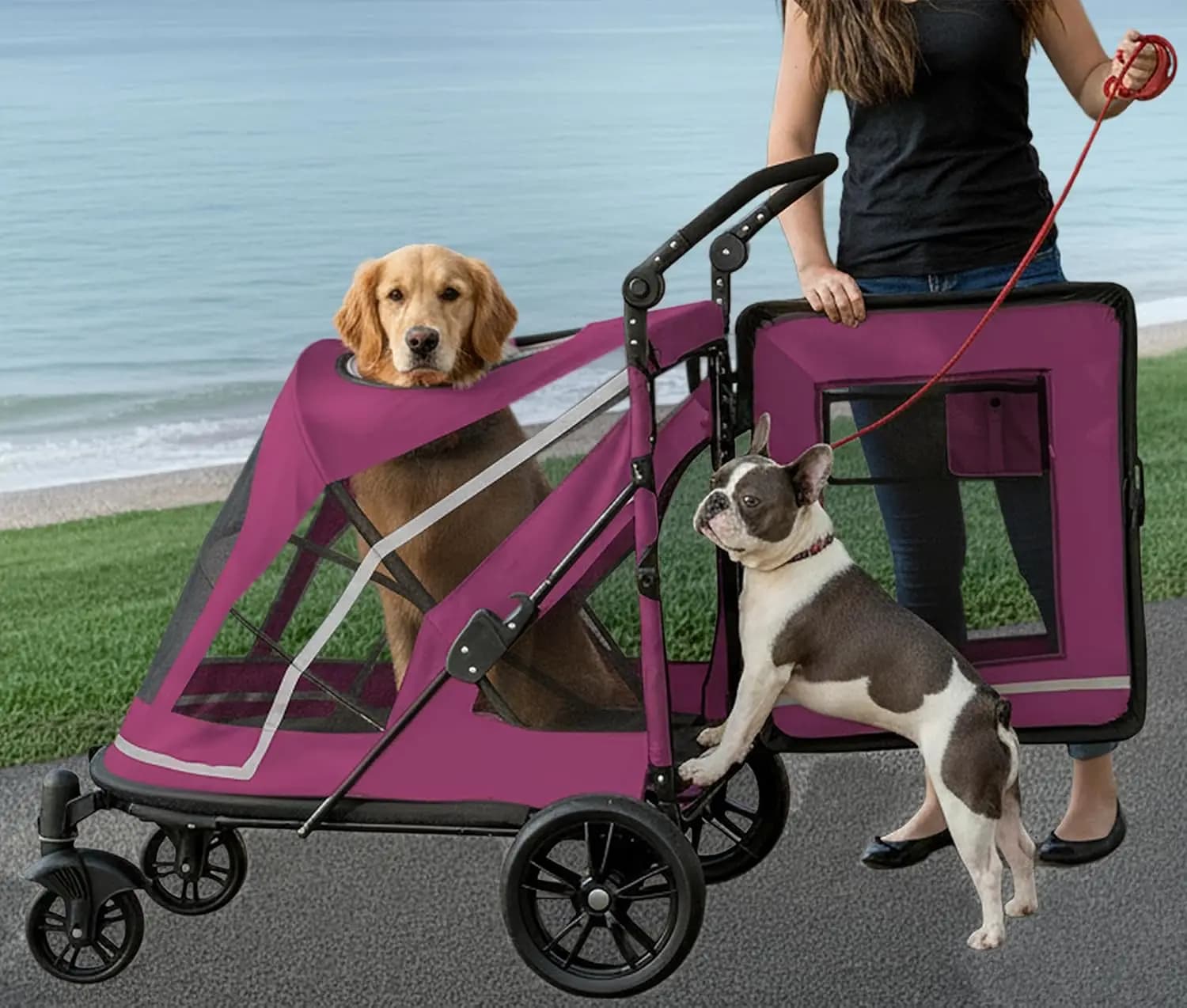 Passeggino per Animali Domestici Senza Cerniera, Doppio Ingresso per Cani e Gatti, Facile Entrata/Uscita, Pneumatici in Gel, Lilla Scuro