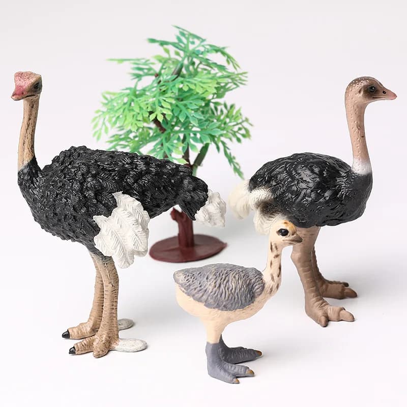 Figurine di simulazione Animali Modello Action Figures Collezione Giocattoli Autruzzo Insegnamento Modello animale Fotografia Prop Artigianato 3 pz/set