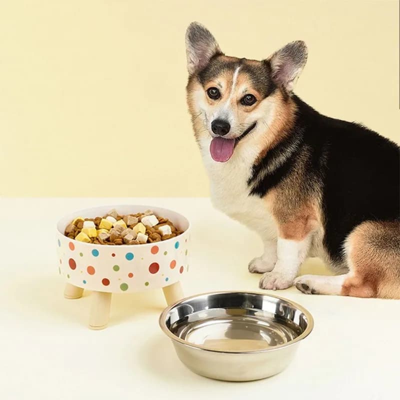 Ciotola per cibo per cani Alimentatore per animali domestici in acciaio inossidabile Contenitore per cibo per acqua per cuccioli Ciotola per cibo per gatti rialzata antiscivolo Accessorio per cani Forniture per animali domestici