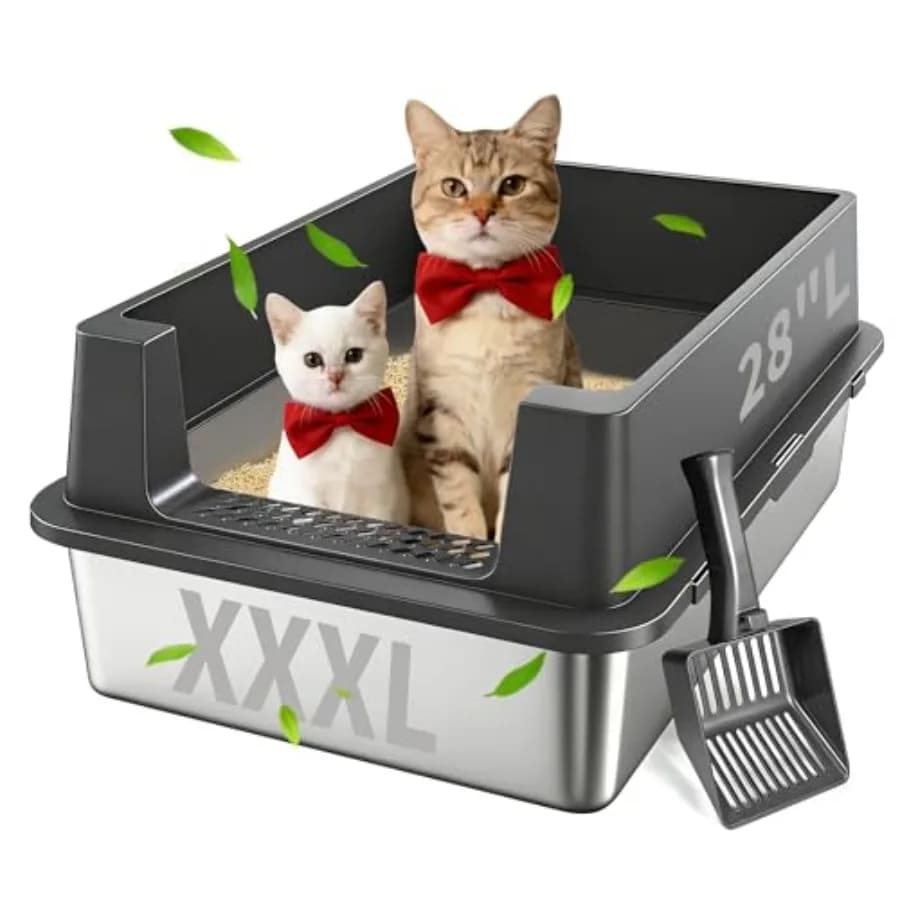 Lettiera per Gatti in Acciaio Inox con Coperchio, Extra Large, per Gatti Grandi e Gattini, Lettiera XXL con Bordi Alti, Inodore