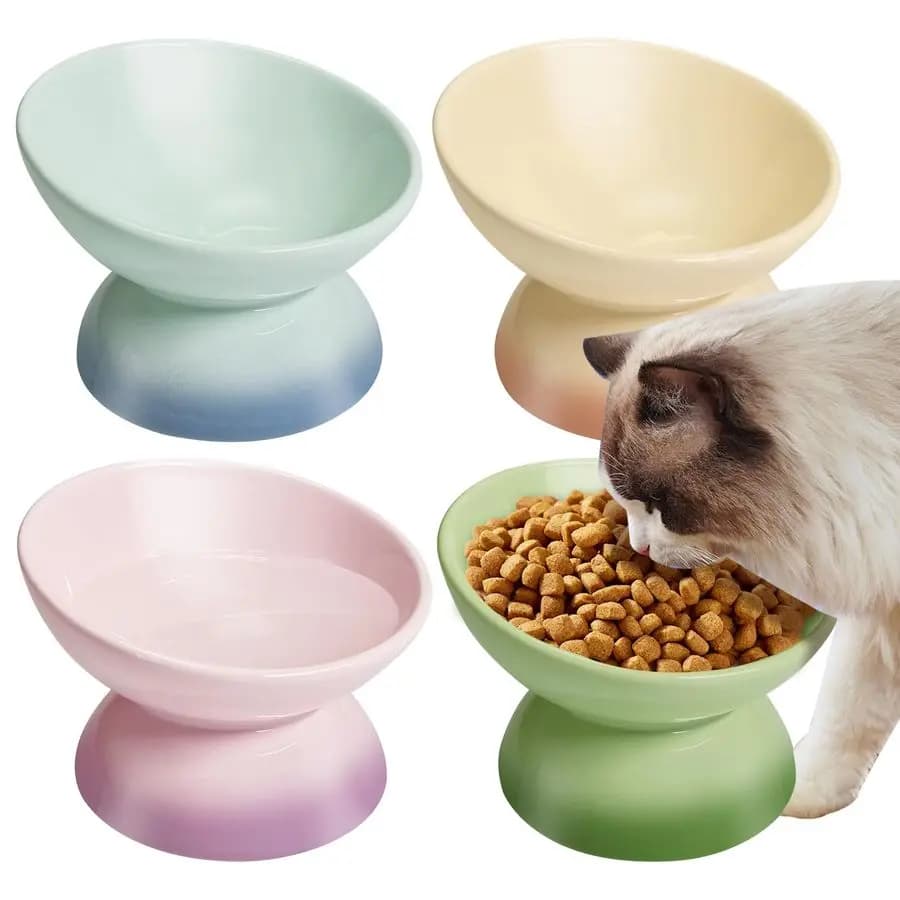 Ciotola per gatti rialzata in ceramica Ciotole per gatti rialzate Piatti per alimenti per gatti inclinati Ciotola per animali Supporto Alimentatore Ciotola per gatti carini per gattini Cuccioli Smal