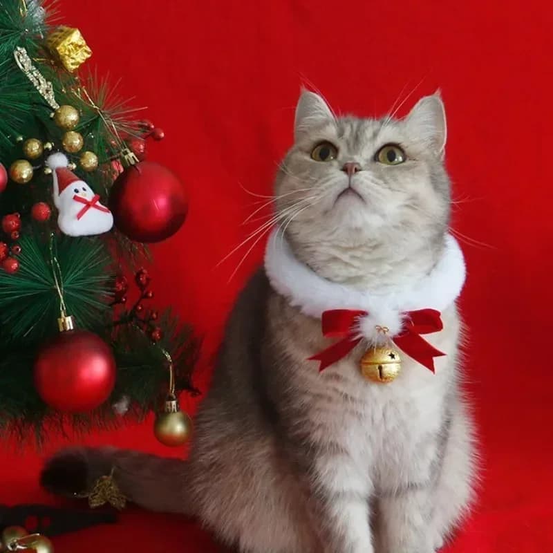 Tema natalizio Collare per gatti Sciarpa Fiocco Campana Collare facile da pulire Gioielli caldi per cani e gatti Natale