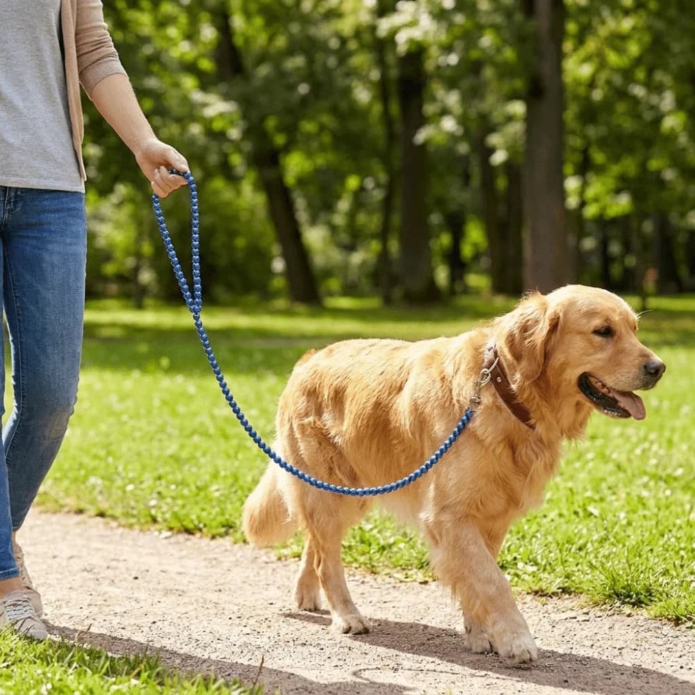 Guinzaglio per Cani Resistente ai Morsi con Perline, Anti-Fuga, Impermeabile, Decorativo con Perle Artificiali, per Addestramento e Jogging