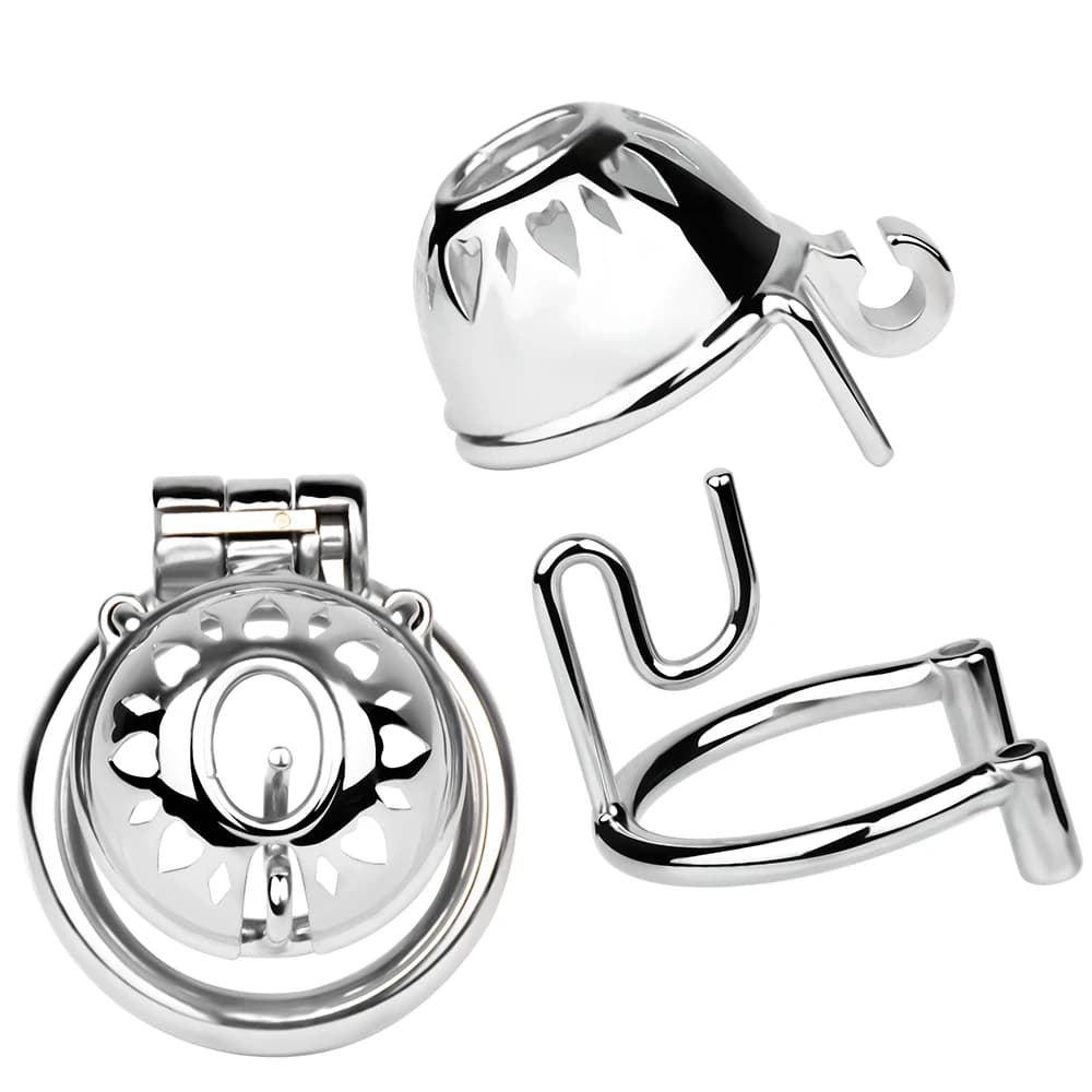 LEZEE Gabbia di castità maschile con cintura di castità Scava fuori il blocco del cazzo Anello PA Sissy Cockring Anello del pene BDSM Giocattoli del sesso per gli uomini